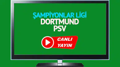 Şampiyonlar Ligi Heyecanı Devam Ediyor: Borussia Dortmund - PSV Maçı Ön İzleme