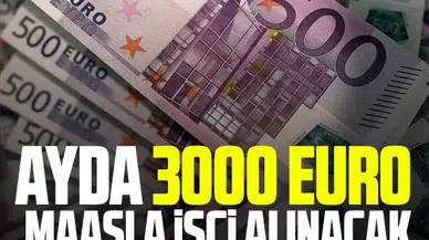 İş arayanlar dikkat! Ayda 3 bin euro maaş! Türkiye'den mevsimlik tarım işçisi alacaklar...