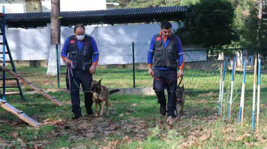 AFAD, Rize K9 ekiplerine kurtarma köpeği eğitimi verdi