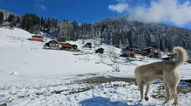 Yüksek kesimler ilkbaharda beyaza büründü