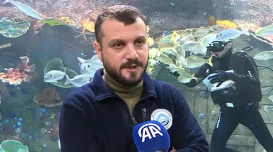 Trabzon Akvaryum'u ziyaretçiler en fazla balıkların beslenme saatlerinde geziyor