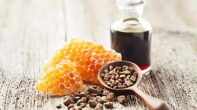Propolis Nedir? Propolis Faydaları nelerdir?