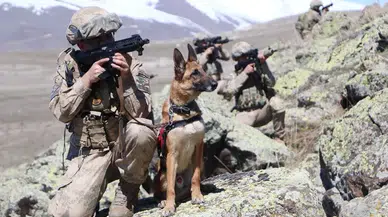 Kırsalda Mehmetçik'in yakın dostu, teröristlerin korkulu rüyası 'Yıkı'