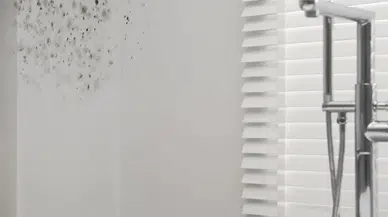 Duvardaki küf lekesinden dakikalar içinde kurtulun! Küf lekesini silip atmanın doğal yolu bulundu