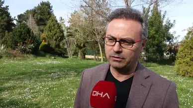 Karadeniz'de orman tahribi heyelanları artırıyor