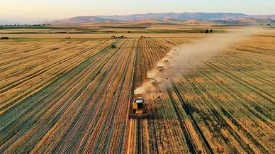 Tarım ve Orman Bakanlığı'ndan çiftçiye destek! Tam 21.1 milyar TL...