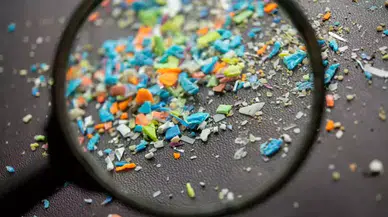 Uzman isim uyardı: Mikroplastik, kısırlığa ve otizme neden olabilir