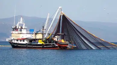 Karadenizli balıkçıları palamut üzdü, hamsi sevindirdi