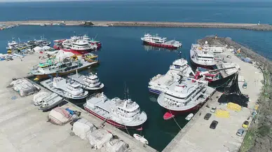 Trabzon'da sezonda yasal boy sınırı altında avlanan 20 ton hamsiye el konuldu