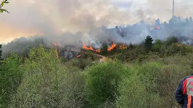 Trabzon-Giresun sınırındaki örtü yangını kontrol altına alındı