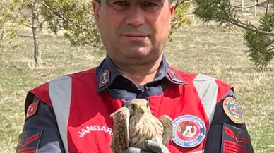 Kerkenez ve İbibik kuşlarına jandarma şefkati