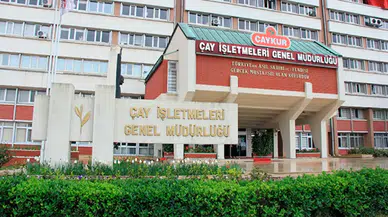 ÇAYKUR 2024'te 1.250'ye Yakın Mevsimlik İşçi Alacak!