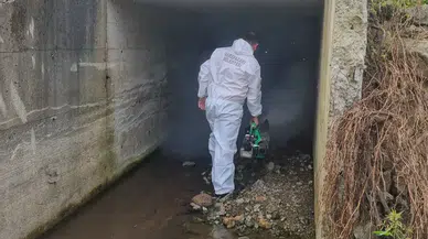 Derepazarı ekipleri riskli bölgelerde ilaçlama gerçekleştirdi