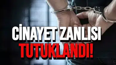 Rize'de Yaylada Alacak Verecek Faciası: 1 Kişi Öldü!