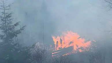 Trabzon'da yangın! Evde başlayıp ormana sıçradı