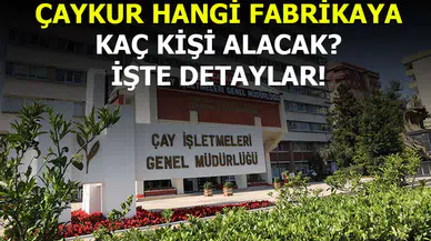 ÇAYKUR’da Hangi Fabrikaya Ne Kadar İşçi Alınacak? İşte detaylar