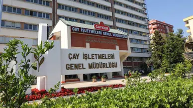 ÇAYKUR'da Mevsimlik İşçi Alımı Başvuruları Nasıl Yapılır? Tüm detaylar