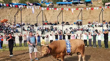 Artvin'de "Yusufeli Derekapı Geleneksel Boğa Güreşleri Festivali" başladı