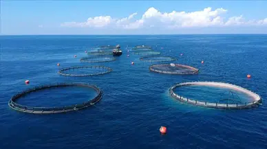 Doğu Karadeniz, su ürünleri ihracatında ilk çeyreği yüzde 37 artışla kapattı