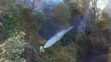 Arhavi’de örtü yangınında 4 hektarlık alanda zarar