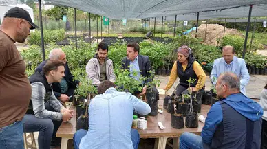 İlçe Tarım Müdürlüğünce Ardeşen'de meyve aşılama etkinliği düzenlendi