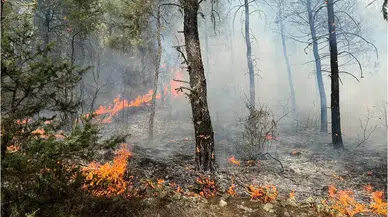 Çamlıhemşin Kaymakamlığından uyarı