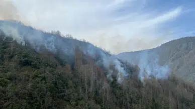 Rize'de çıkan örtü yangınına müdahale ediliyor