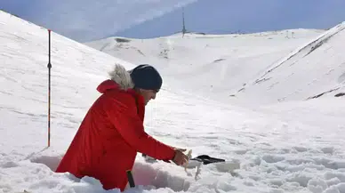 Palandöken'e çığ takibi