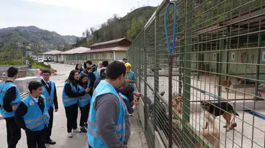 RİBEGEM'den sokak hayvanlarına ziyaret