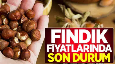 Fındık Fiyatlarında Güncel Durum: 7 Nisan 2024