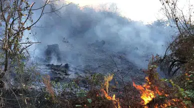 Karadeniz'de kuraklık etkisi; orman yangınlarında artış tehlikesi