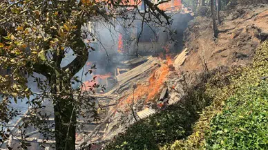 Karadeniz'de kuraklık etkisi yeni tehlikeler getirdi