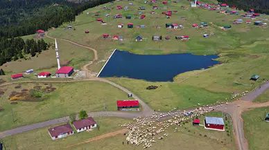 Doğu Karadeniz yaylalarına göç başladı