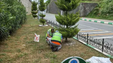 İyidere Belediyesi çevre düzenlemelerine devam ediyor