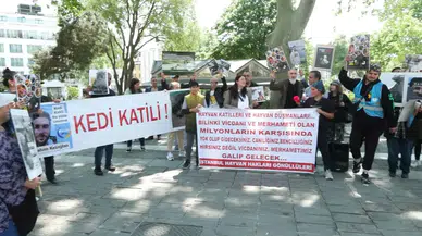 Beyazıt Meydanı'nda hayvanseverlerden kedi ölümlerine protesto
