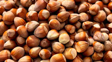 Fındık Fiyatlarında Dengeli Seviyeler Korunuyor