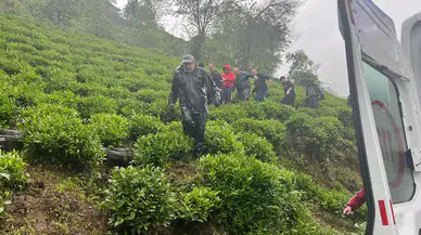 Rize'de yaş çay bahçesinde yamaçtan düşen kişi yaralandı