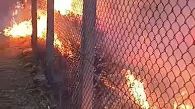 Ödemiş'te çıkan orman yangını söndürüldü