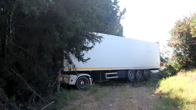 Yoldan çıkan TIR'ın sürücüsü yaralandı