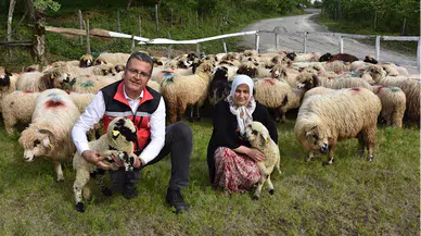 Ordulu kadın devlet desteğiyle sürü sahibi oldu