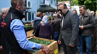 Ayancık'ta vatandaşlara domates ve biber fidesi dağıtıldı