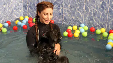 Şiddet mağduru köpek, hidroterapi tedavisiyle sağlığına kavuştu