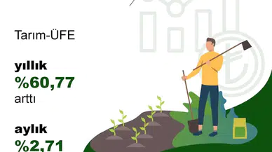 TÜİK: Tarım ürünleri üretici fiyatları aylık yüzde 2,71 arttı