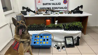 Samanlıktaki uyuşturucuyu 'Duman' buldu