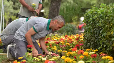 Bornova'da mevsimlik çiçek ve ağaç dikimi başladı