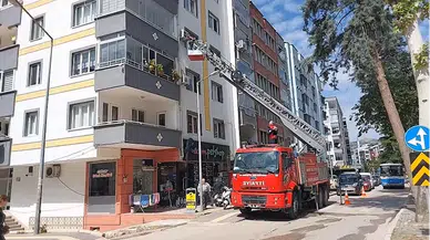 Amasya'da yuvadan düşen yavru serçenin imdadına itfaiye yetişti