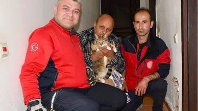 Giresun'da apartman bacasına sıkışan kedi itfaiye tarafından kurtarıldı
