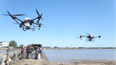 Bafra Ovası'nda çeltik ekimi ZİHA'lara emanet