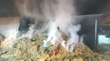Yalova'da samanlıkta çıkan yangını itfaiye söndürdü