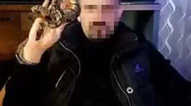 Evinde 2 kraliyet pitonu ele geçirildi, 25 bin TL ceza kesildi